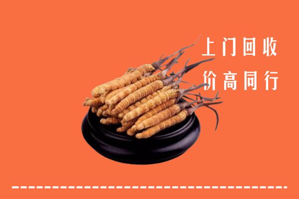 高价求购：六盘水盘州市回收散虫草