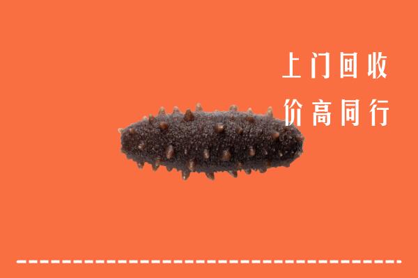 高价求购：六盘水盘州市回收海参