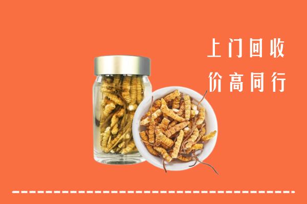 收购行情：六盘水盘州市回收冬虫夏草